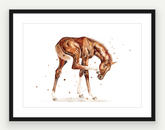 Chestnut Filly - Watercolour Print